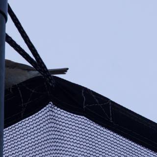 Perched on the Net