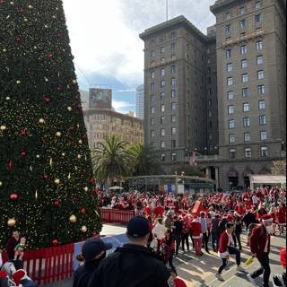 A Majestic Christmas Tree in the Heart of Union Square