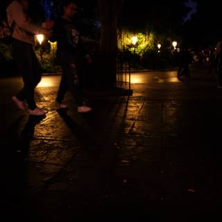 Enchanting Night Stroll in Disneyland