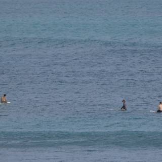 Serene Surf Session in Hawaiian Waters