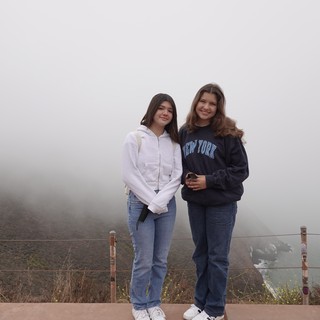 Two Friends in Foggy Coastal Overlook