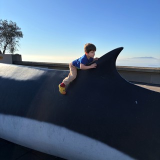 Child Playing on Whale Sculpture at Scenic Overlook