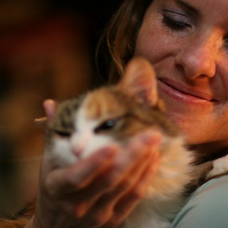 Tender Moment with a Calico Kitten at Dusk