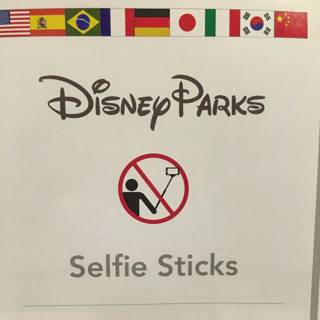 Disney Parks Banned Selfie Sticks