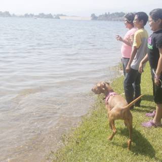 Lakeside Portrait with Canine Companion