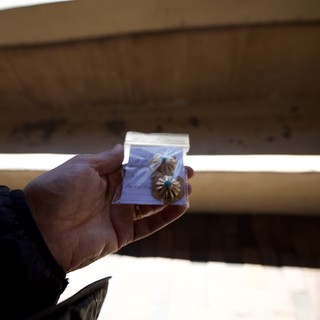 Hand Holding Small Decorative Item in Clear Bag