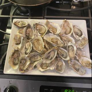 Fresh Oysters from San Francisco