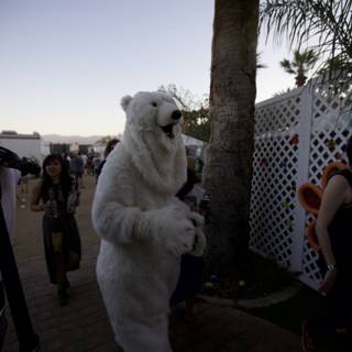 Polar Bear Struts His Stuff at Coachella