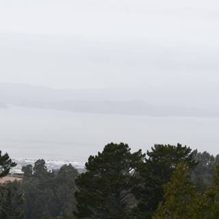 Hillside View of San Francisco Bay