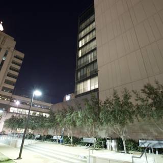 Nighttime at City Hall