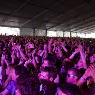 Euphoric Crowd at Coachella Music Festival