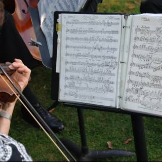 Musical Serenade on the Green