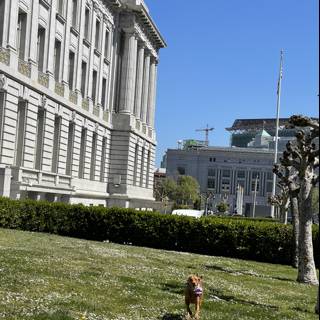 Running Free at San Francisco City Hall