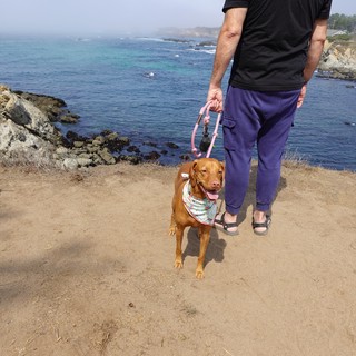 coastal trail