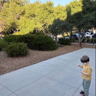 Autumn Afternoon in Carmel
