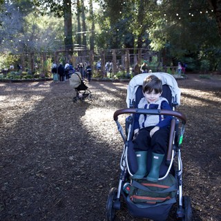 Community garden or botanical garden