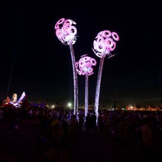 Illuminated Sculpture Attracts Nighttime Crowd