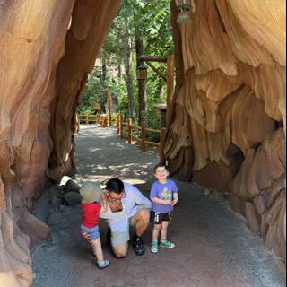Summer Adventure Under the Sequoias
