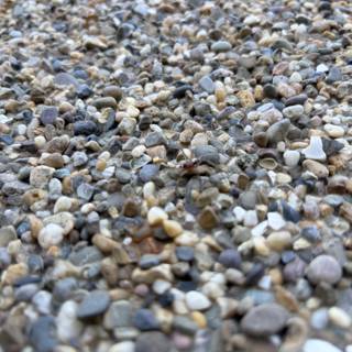 Pebbled Pathway at Apple Park