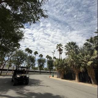 Tranquil Pathway Through Palm Oasis