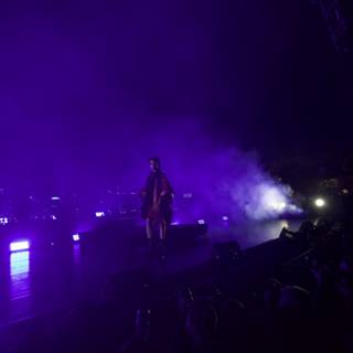 FKA Twigs Rocks the Stage with Purple Haze