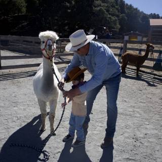 Cowboy in Training