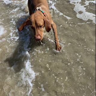 Playing in the Waves