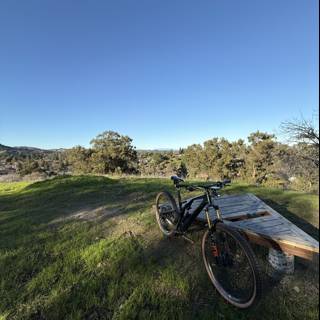 Pedal Pause in the Wilderness