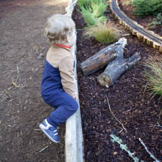 Exploring New Heights