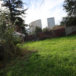 Urban Towers Rising Above Green Hillside Garden