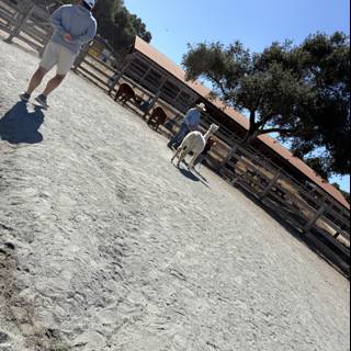 Weekend at the Ranch
