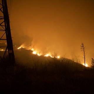 Blazing Forest Fire Threatens Power Line
