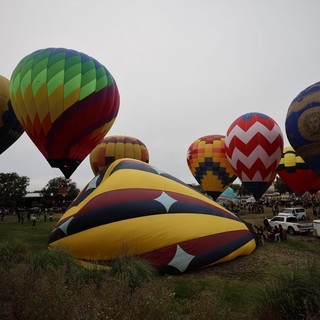 Colorful Hot Air Balloons Fill the Sky at Festival