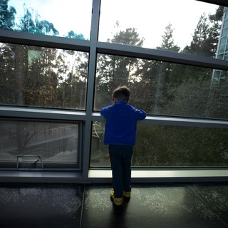 Child Gazing Through Window at Forest Landscape