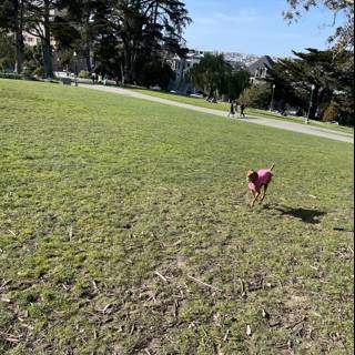 Playtime in the Park