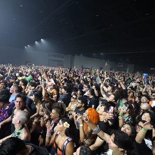 Massive Crowd Surges at Wobbleland 2026 Festival