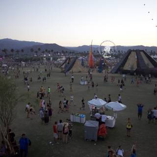Desert Festival Fun