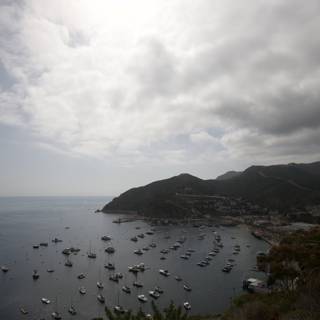 Harbor View of Catalina