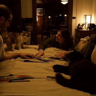 Couple and Cats Share a Cozy Evening at Home