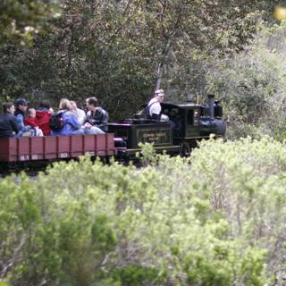 Train Ride Through the Woods