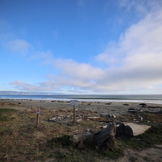 Coastal Tranquility at Drakes Beach Elephant Seal Habitat