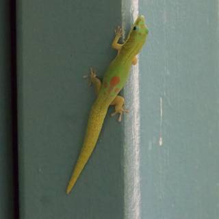Vivid Visitor: The Gecko of Honolulu Zoo