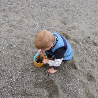 Toddler Explores Beach Treasures in a Bucket