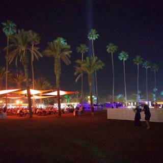 Starlit Palms at Coachella 2024