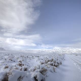 Winter Wonderland Road