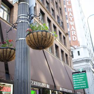Blooming Street Pole