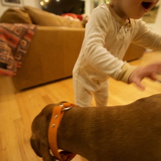 Child's Joyful Christmas Morning with Dog Companion