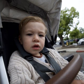 Young Toddler in Stroller on Overcast Day