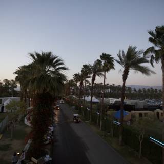 Dusk on the Palm Tree Road