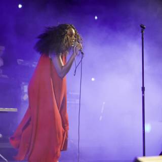 Solange Rocks the Stage at FYF Fest